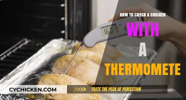 Checking Chicken Temperature: Thermometer Usage