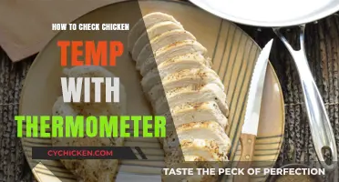 Mastering Chicken Temperature: Easy Thermometer Tips for Perfectly Cooked Meals