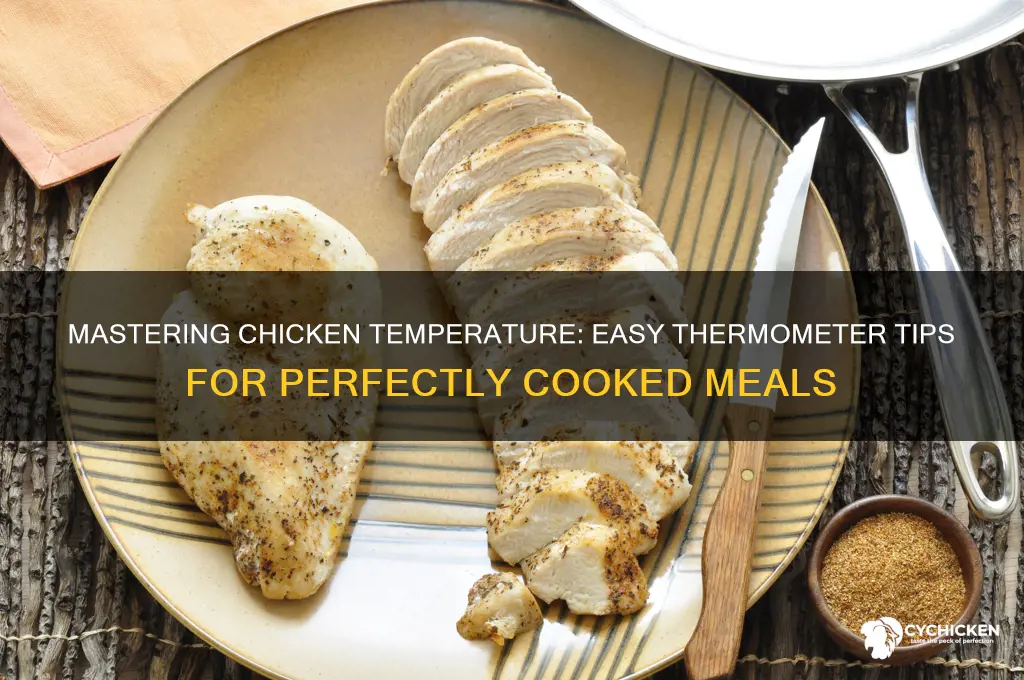 how to check chicken temp with thermometer