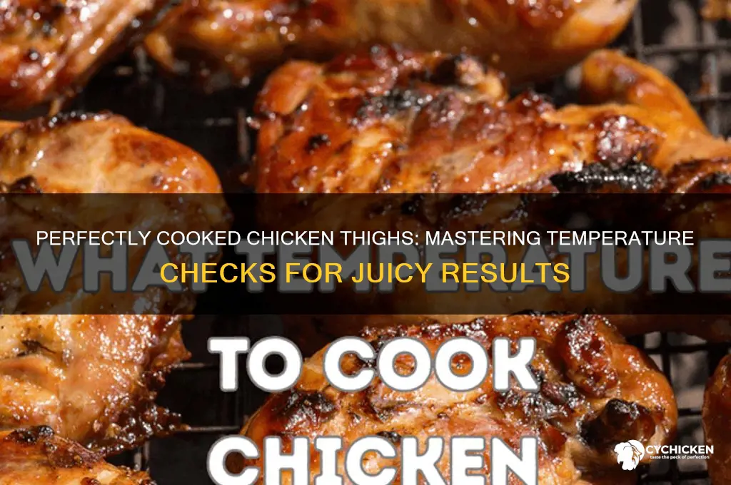 how to check chicken thigh temp