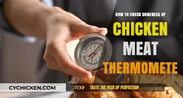 Checking Chicken Doneness: Meat Thermometer 101