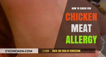 Identifying Chicken Meat Allergy: Symptoms, Testing, and Safe Diet Tips