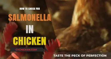 Safe Cooking: Quick Tips to Detect Salmonella in Chicken
