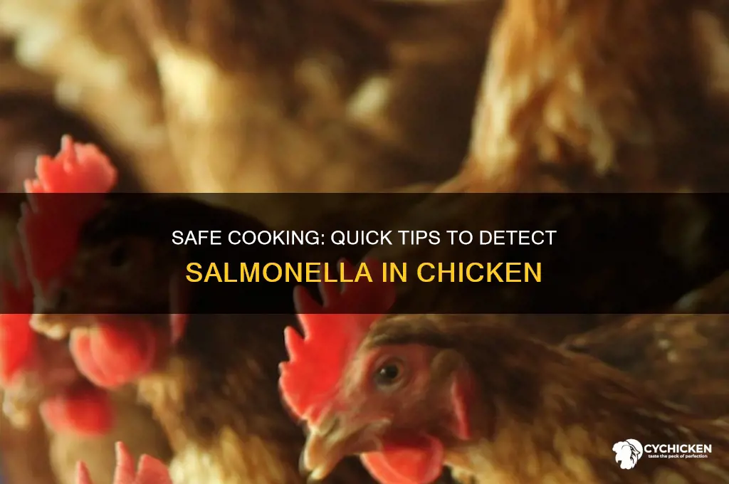 how to check for salmonella in chicken