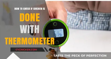 Checking Chicken Doneness: Thermometer Usage