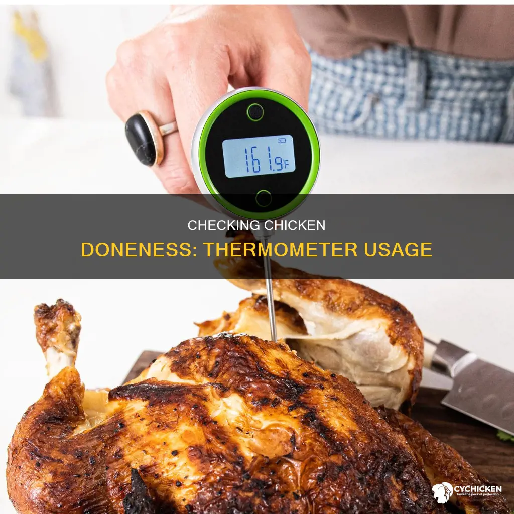 how to check if chicken is done with thermometer
