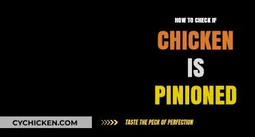 How to Check if Your Chicken is Pinioned: A Quick Guide
