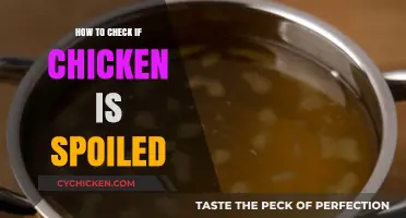 How to Tell if Chicken is Spoiled: Quick and Easy Tips