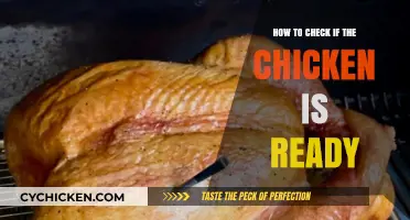 Checking Chicken: The Ultimate Test for Doneness