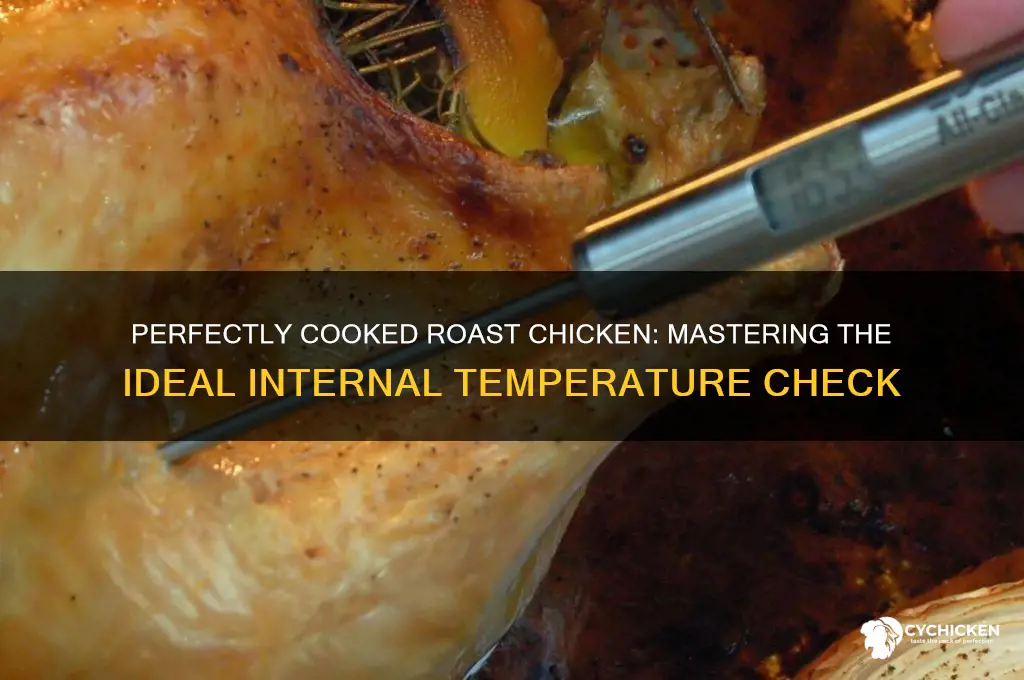 how to check roast chicken temp