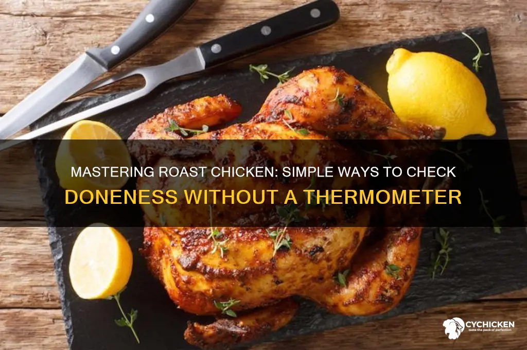 how to check roast chicken without thermometer