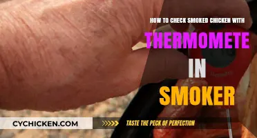 Checking Smoked Chicken: Thermometer Usage in Your Smoker