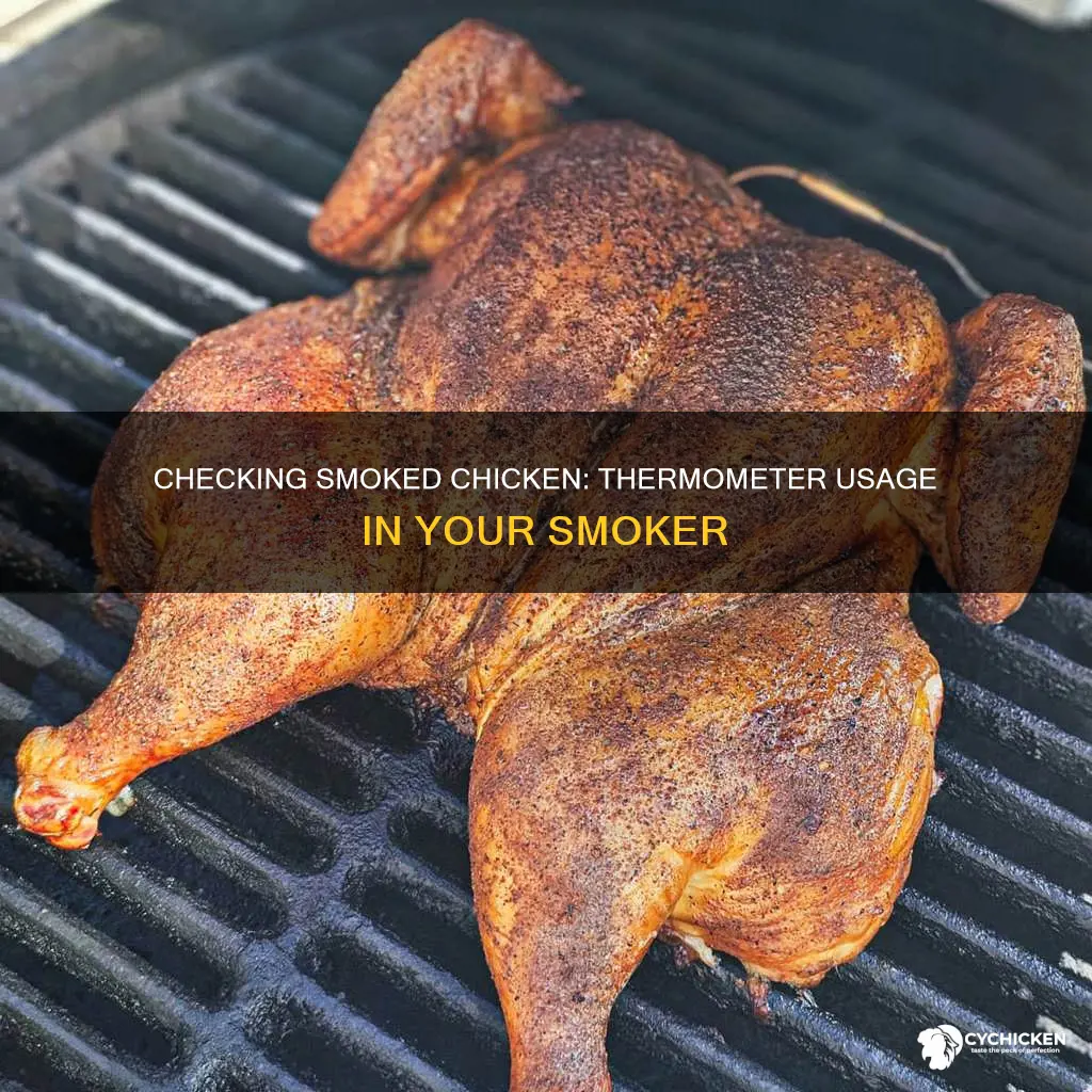 how to check smoked chicken with thermometer in smoker