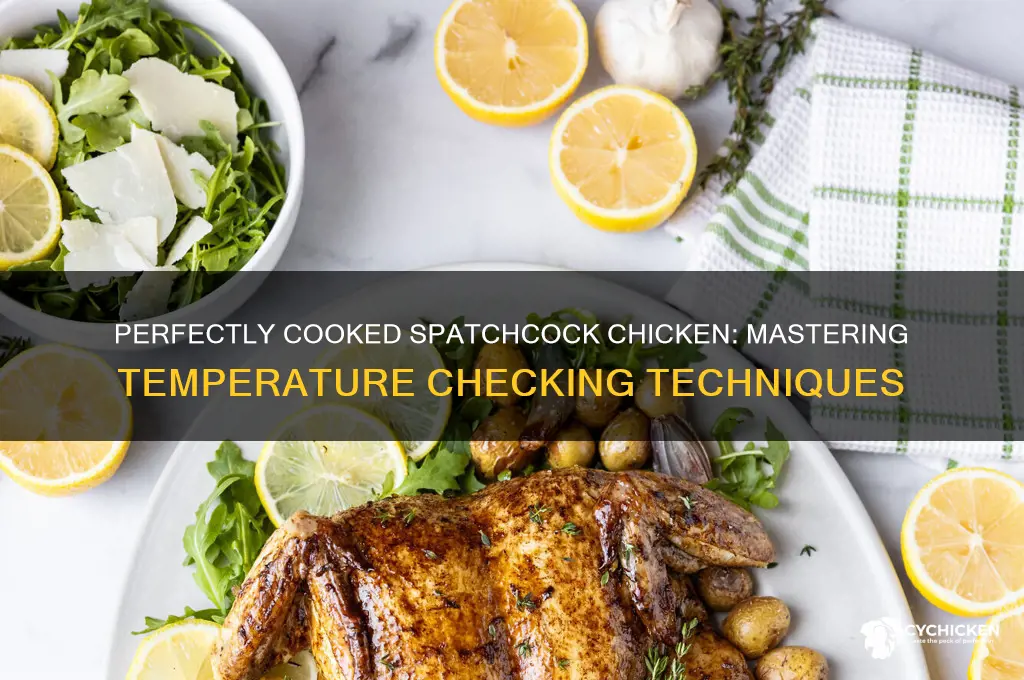 how to check temp on spatchcock chicken