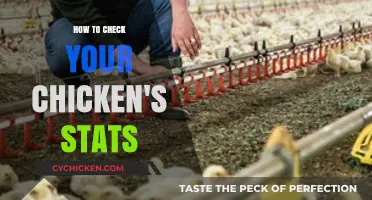 Monitor Your Flock: Essential Tips to Check Chicken Stats Easily