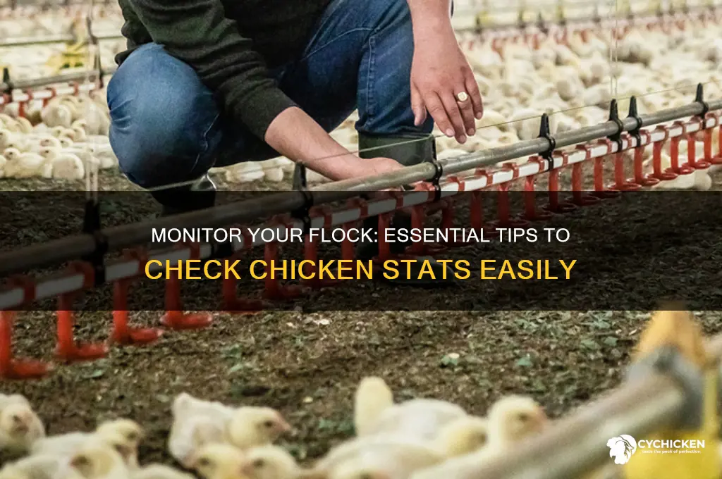 how to check your chicken