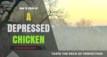 Cheer Up Your Chicken: Tips to Lift a Depressed Bird's Spirits