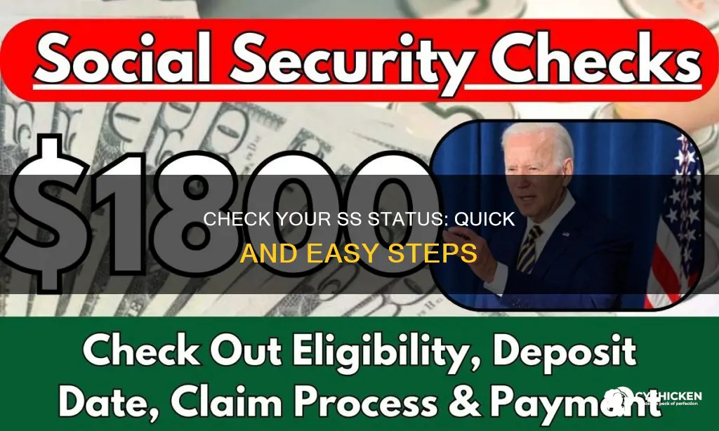 how to chick on the status of my ss check