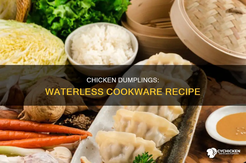 how to chicken and dumplings in waterless cookware