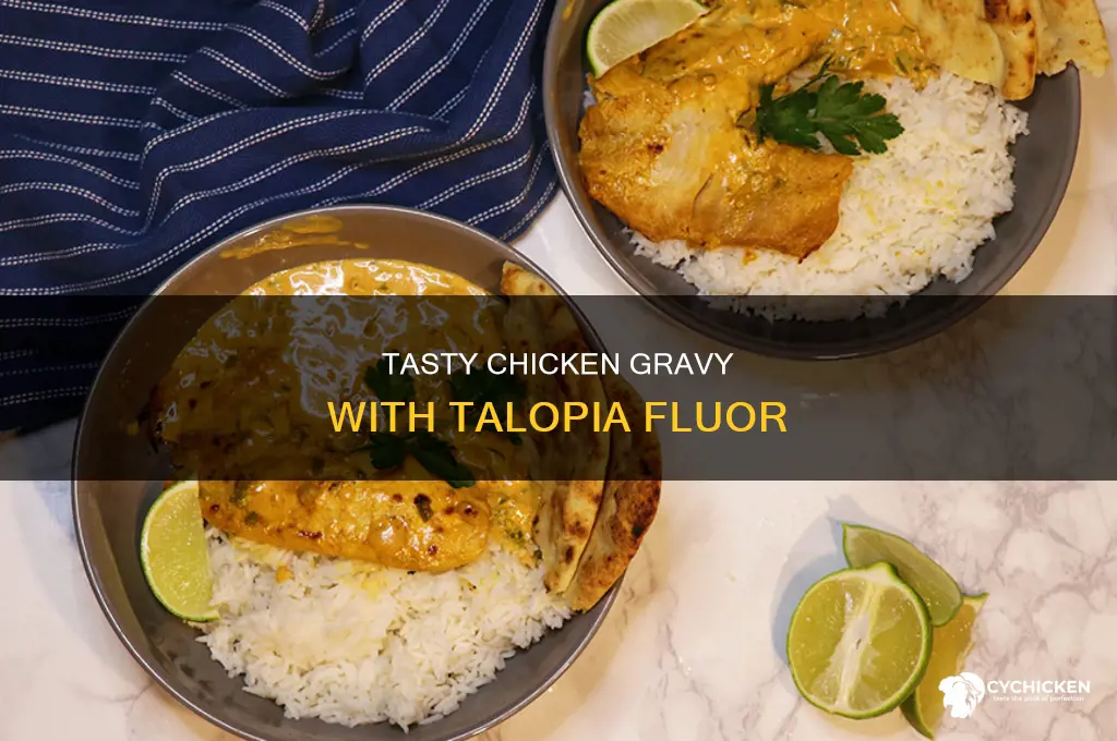 Tasty Chicken Gravy With Talopia Fluor | CyChicken