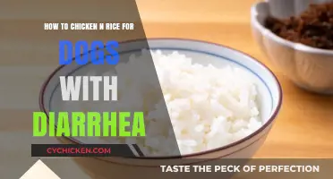 Treating Dog Diarrhea: Chicken and Rice Recipe