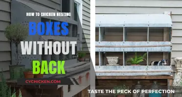 DIY Chicken Nesting Boxes: Simple Designs Without Backs for Easy Access