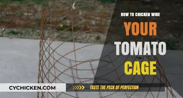 Secure Your Tomatoes: A Guide to Chicken Wiring Your Tomato Cage