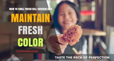 Chilling Freshly Killed Chicken: Maintaining Quality and Color