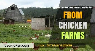 Choosing Land: Avoiding Chicken Farms
