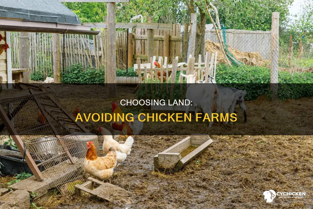 how to choose agricultural land away from chicken farms