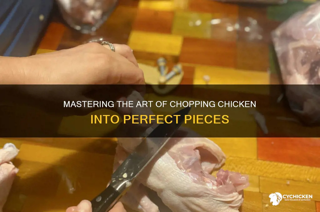 how to chop a chicken into pieces