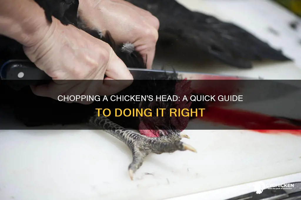 how to chop a chicken