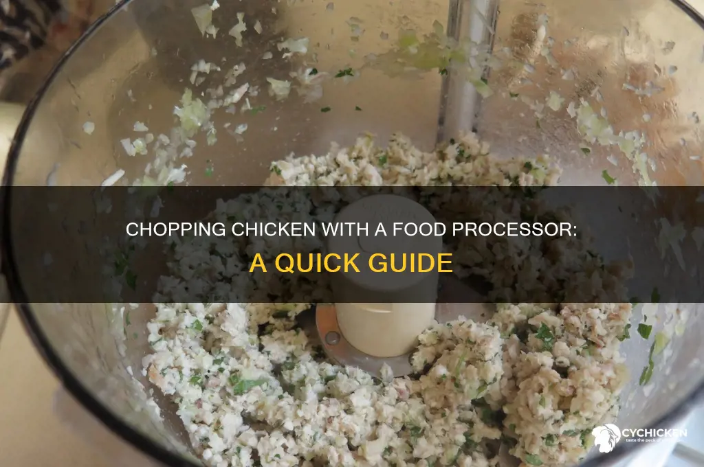 how to chop chicken in a food processor