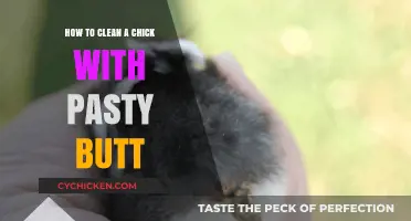 Cleaning a Chick's Pasty Butt: A Step-by-Step Guide