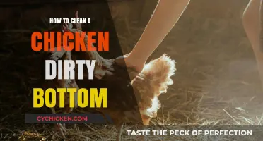 Effective Tips for Cleaning Your Chicken's Dirty Bottom Easily