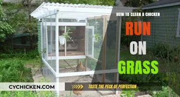 Keep Your Chicken Run Clean and Green