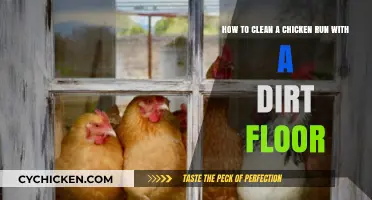 Easy Cleaning: Chicken Run with a Dirt Floor
