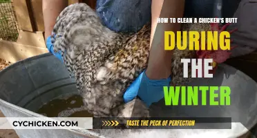 Winter Chicken Care: Cleaning Your Bird's Behind