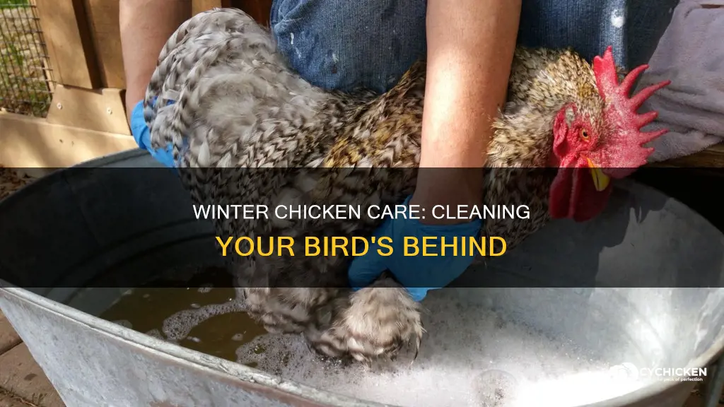 how to clean a chicken
