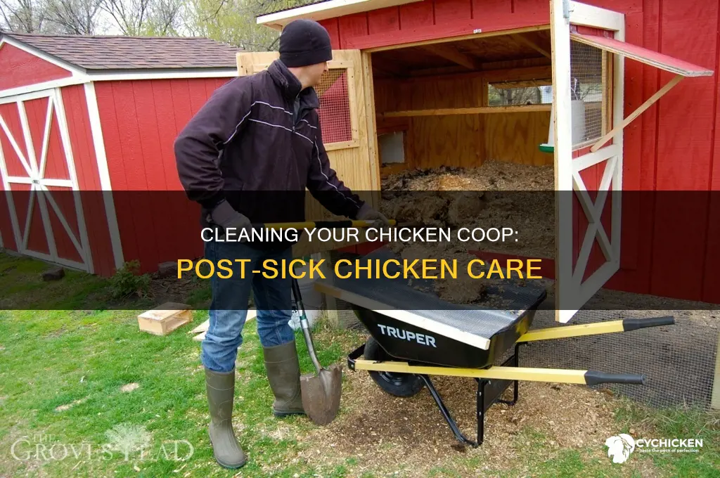how to clean a coup after a sick chicken