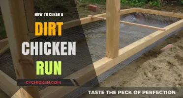 Effective Tips for Cleaning and Maintaining a Dirt Chicken Run