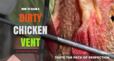 Effective Cleaning Tips for a Dirty Chicken Vent: A Guide