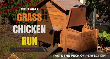 Effective Tips for Cleaning and Maintaining Your Grass Chicken Run