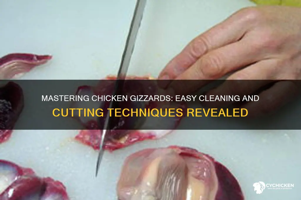 how to clean and cut chicken gizzards