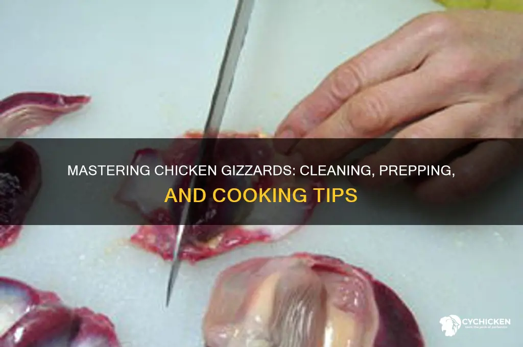 how to clean and prepare chicken gizzards