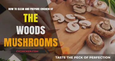 Cleaning and Preparing Chicken of the Woods Mushrooms