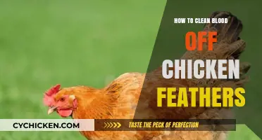 Effective Methods for Removing Blood Stains from Chicken Feathers