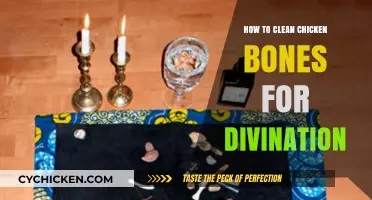 Cleansing Chicken Bones for Divination: A Step-by-Step Ritual Guide