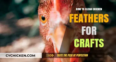 Crafting with Chicken Feathers: A Simple Cleaning Guide for DIY Projects