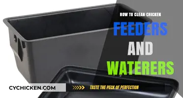 Effective Cleaning Tips for Chicken Feeders and Waterers